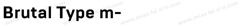 Brutal Type m字体转换
